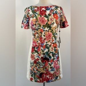 Adrianna Papell Painted Multi Placed Print Sheath Dress